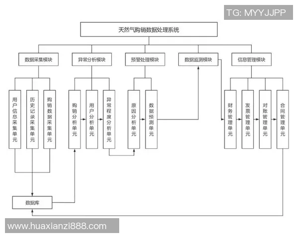 探索LNG市场的灵活性表现与数据分析方法的深度结合